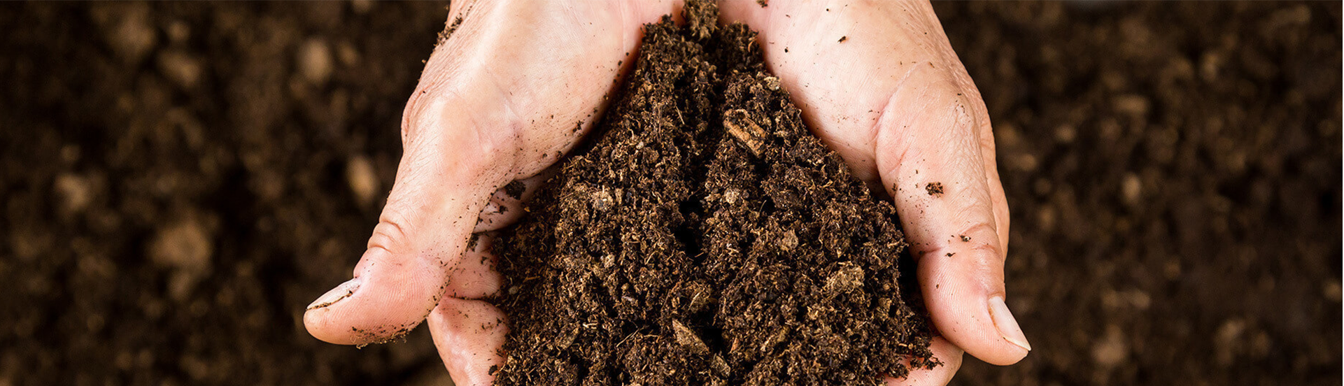 Headerfoto substraten